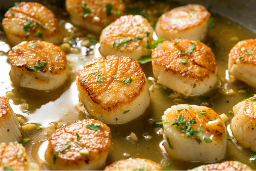 Hokkaido Scallops